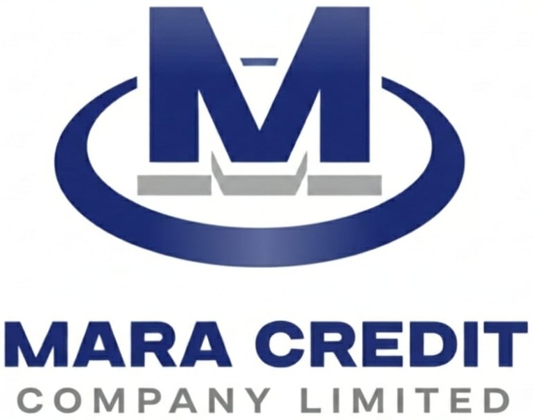 MICROFES Logo